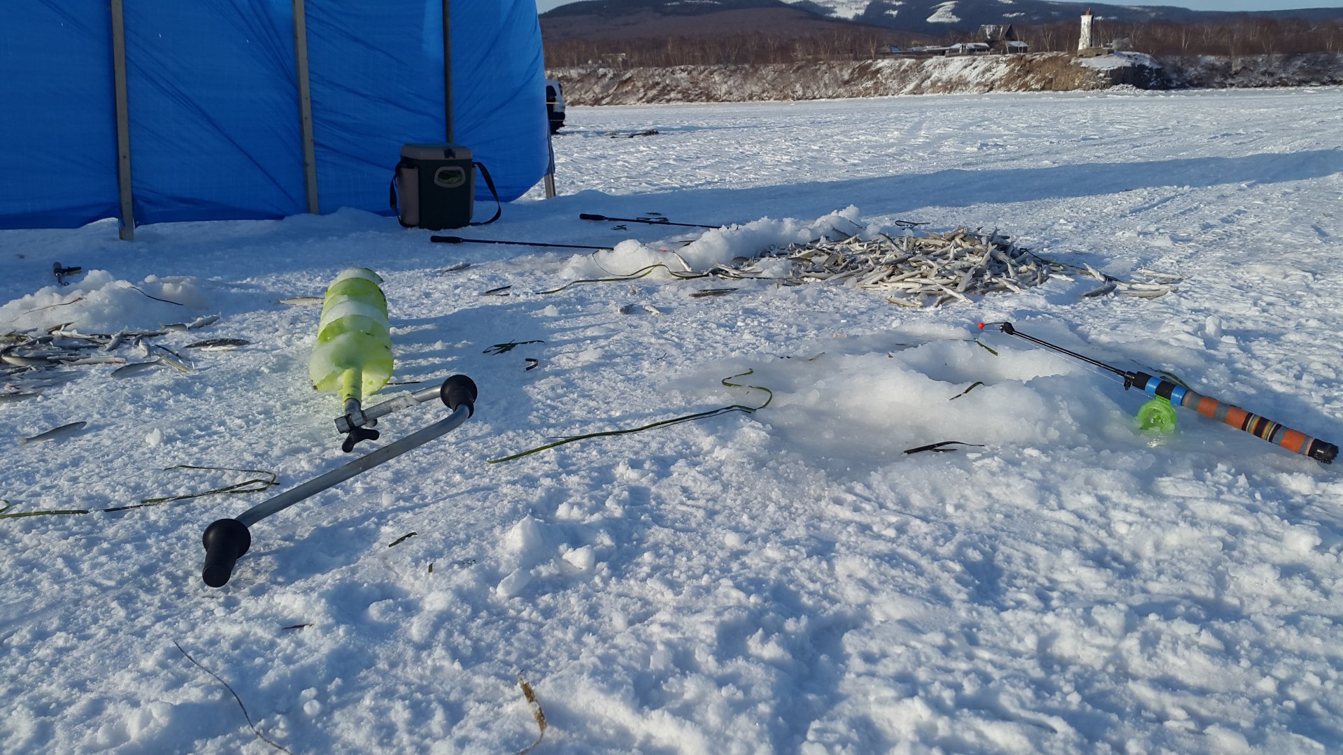20181208_141221.jpg