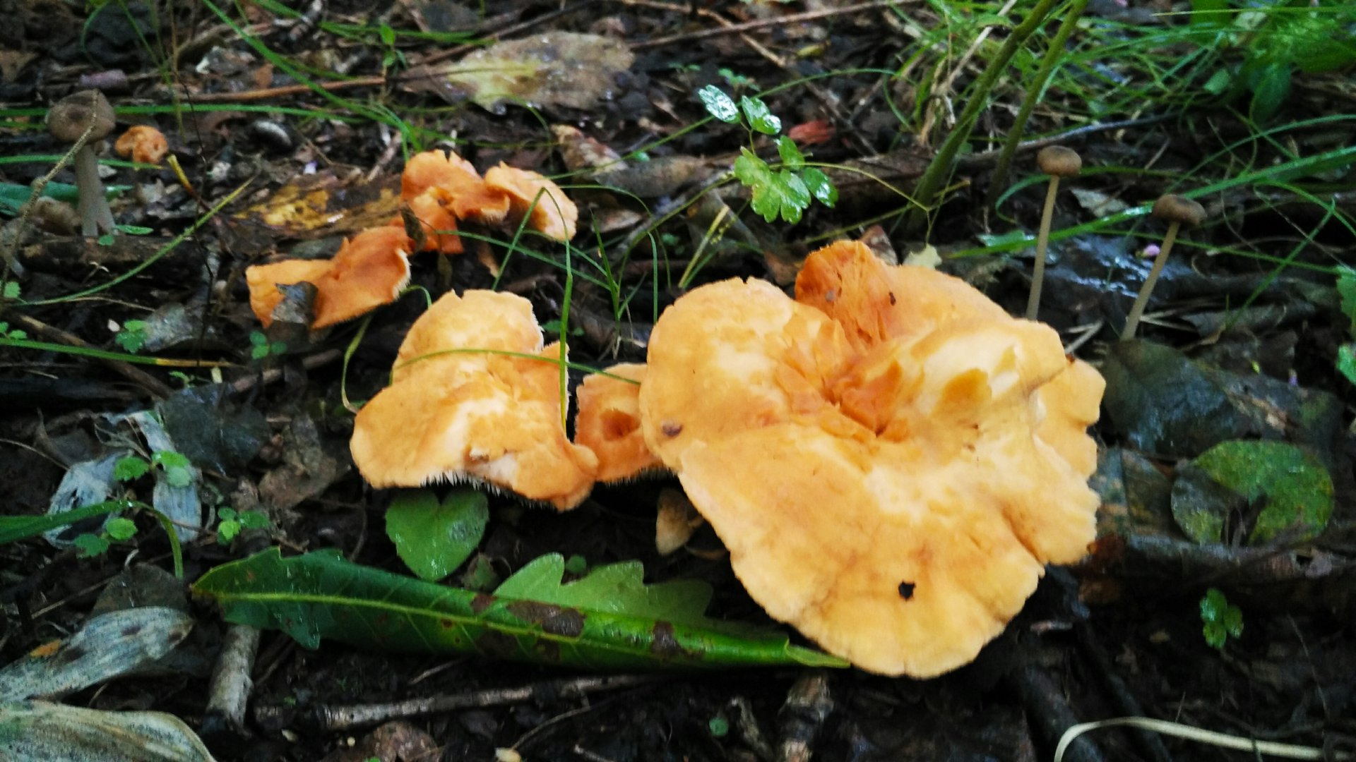 2019-08-19_15-57-22_713.jpg