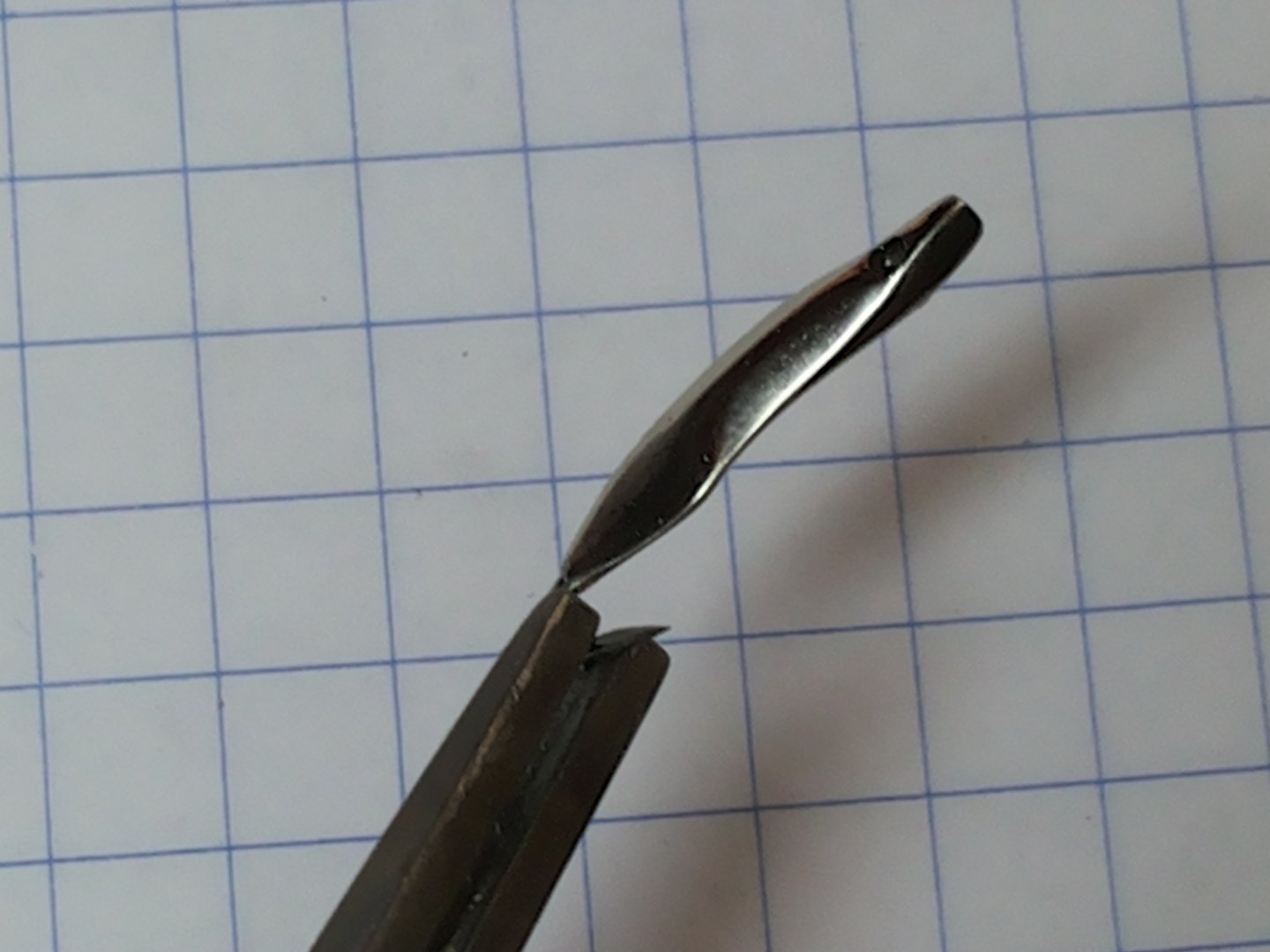 20190112_144411.jpg