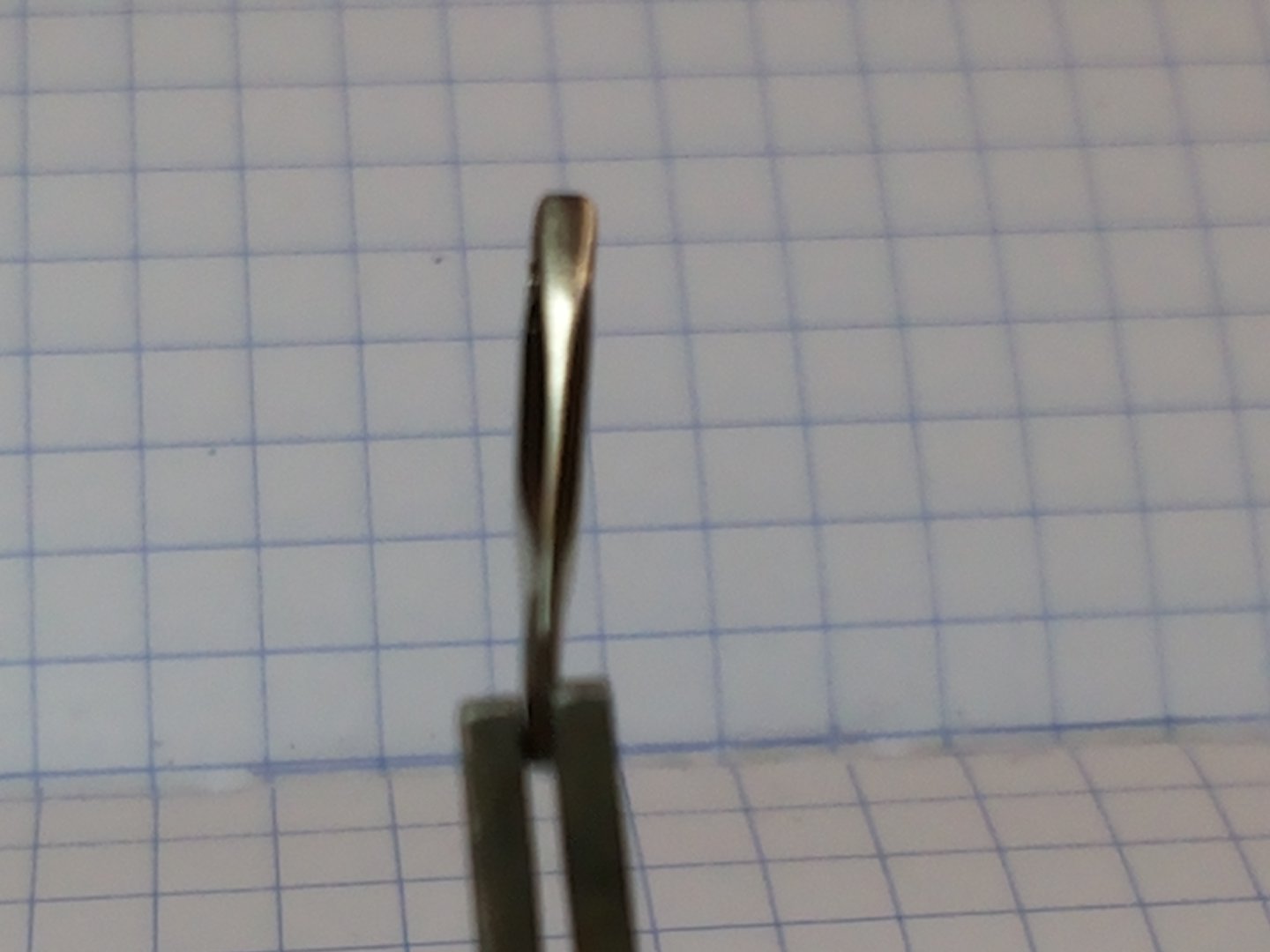 20190112_144625.jpg