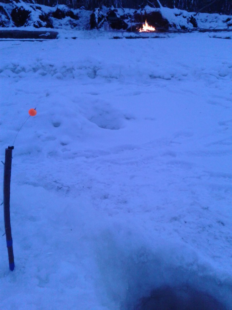 20190124_180416.jpg