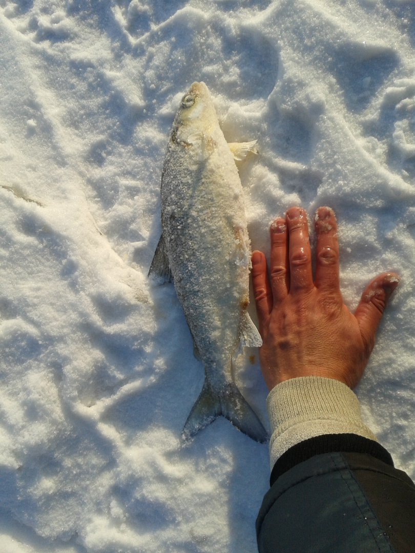 20190201_100814.jpg