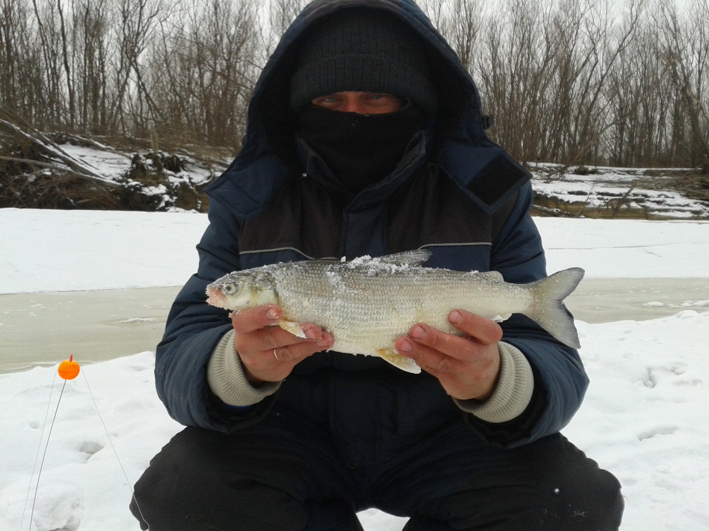 20190203_154633.jpg