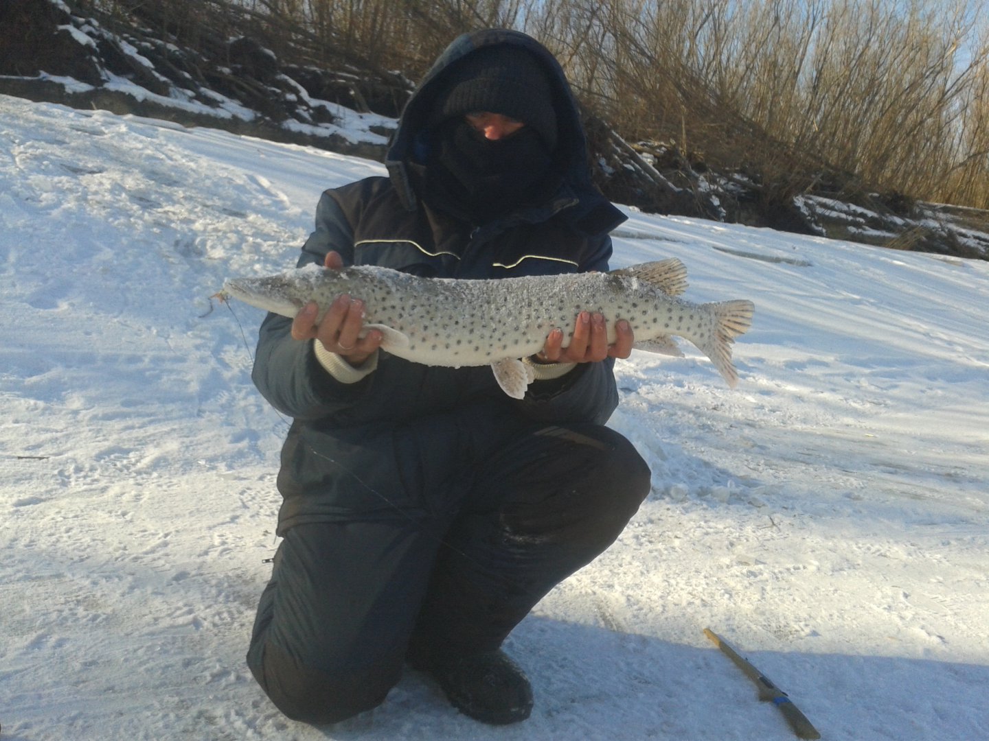 20190209_150725.jpg