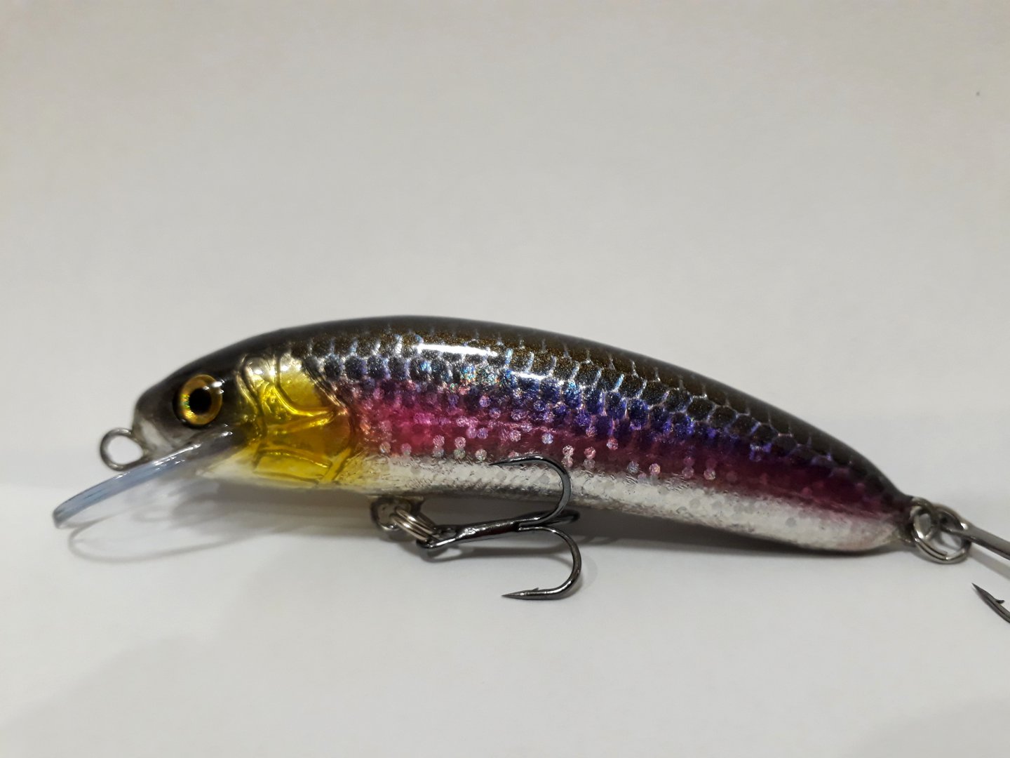 20190209_225238.jpg