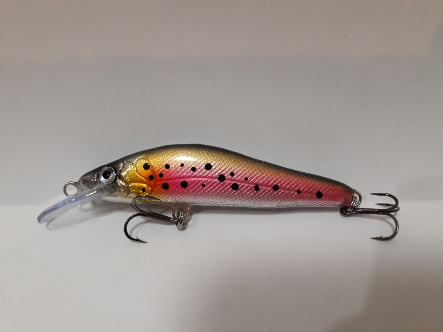 20190209_225311.jpg