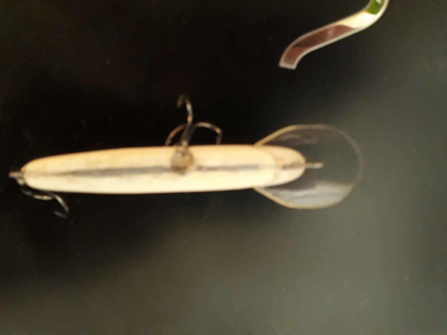20190210_075208.jpg