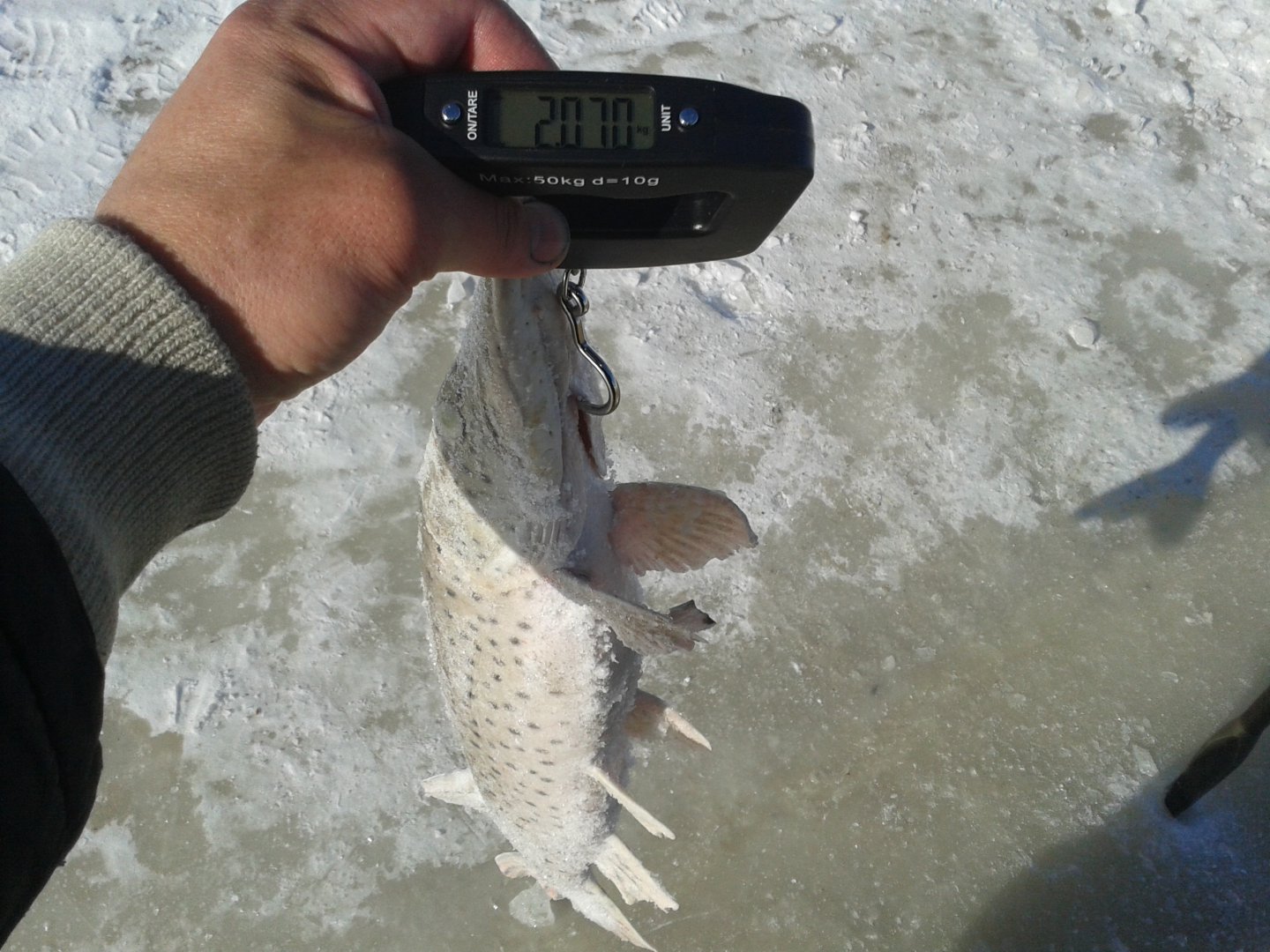 20190216_113017.jpg