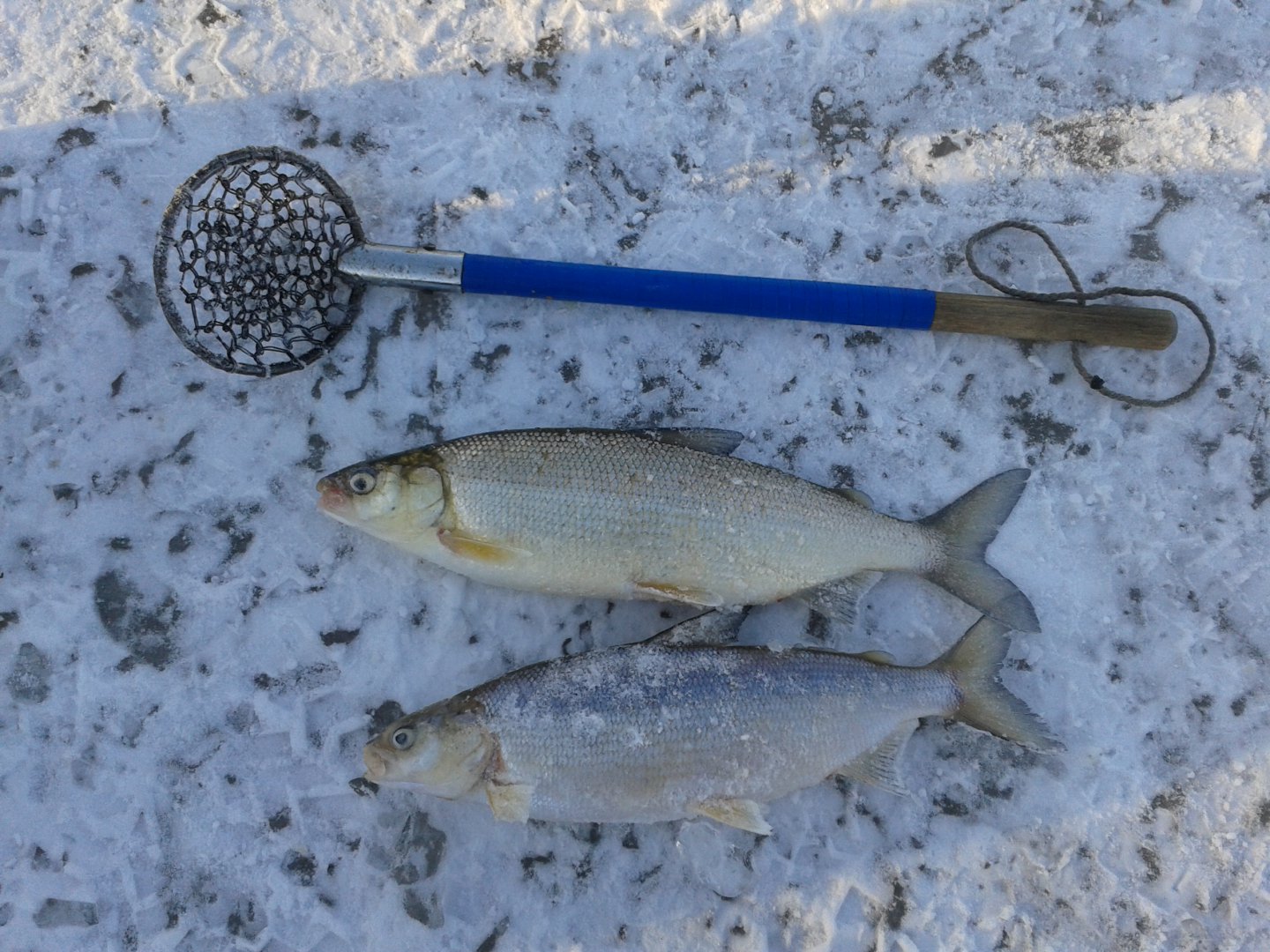 20190226_170536.jpg