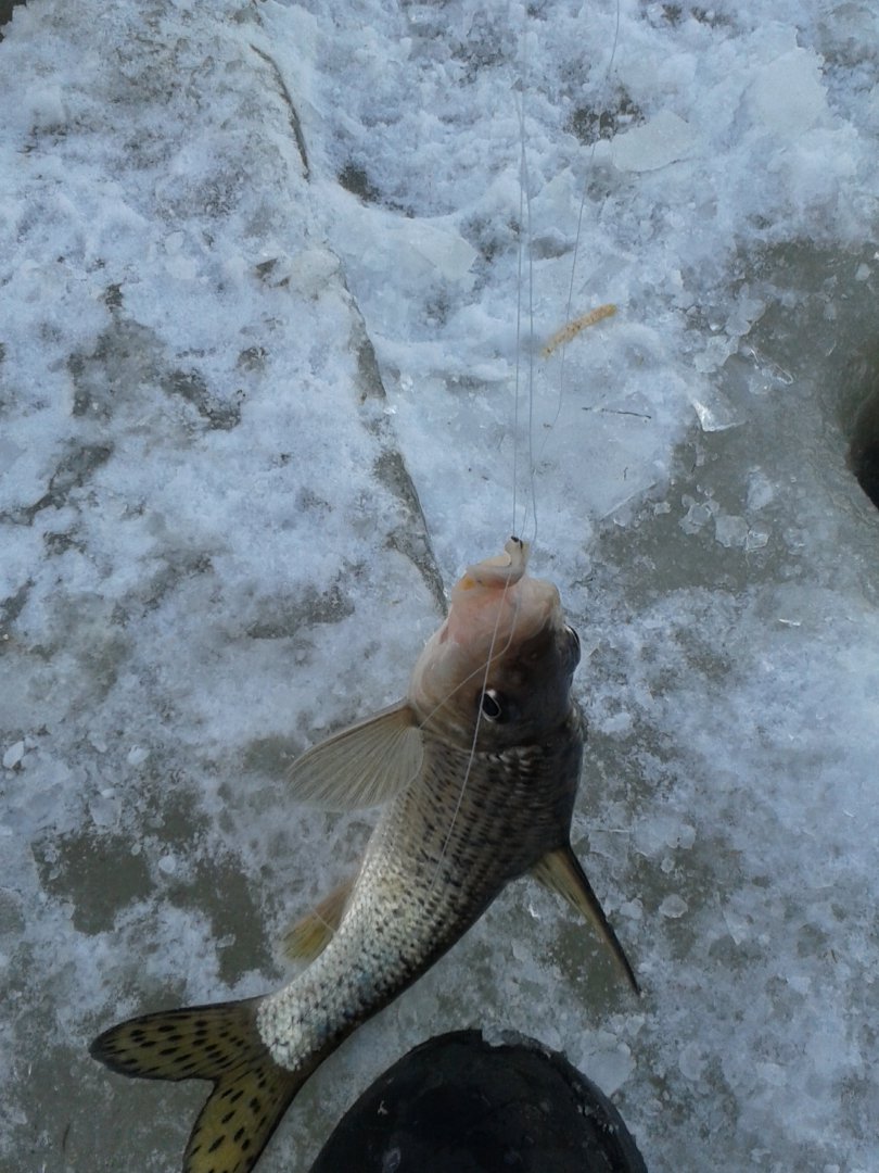 20190226_181102.jpg