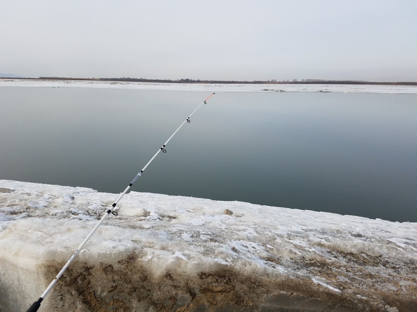 20190311_110041.jpg