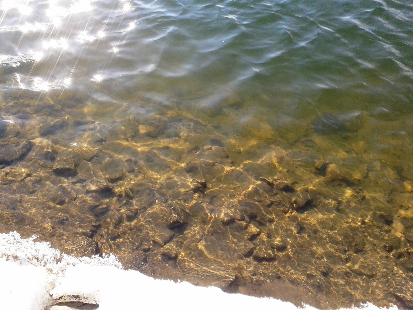 20190315_161312.jpg