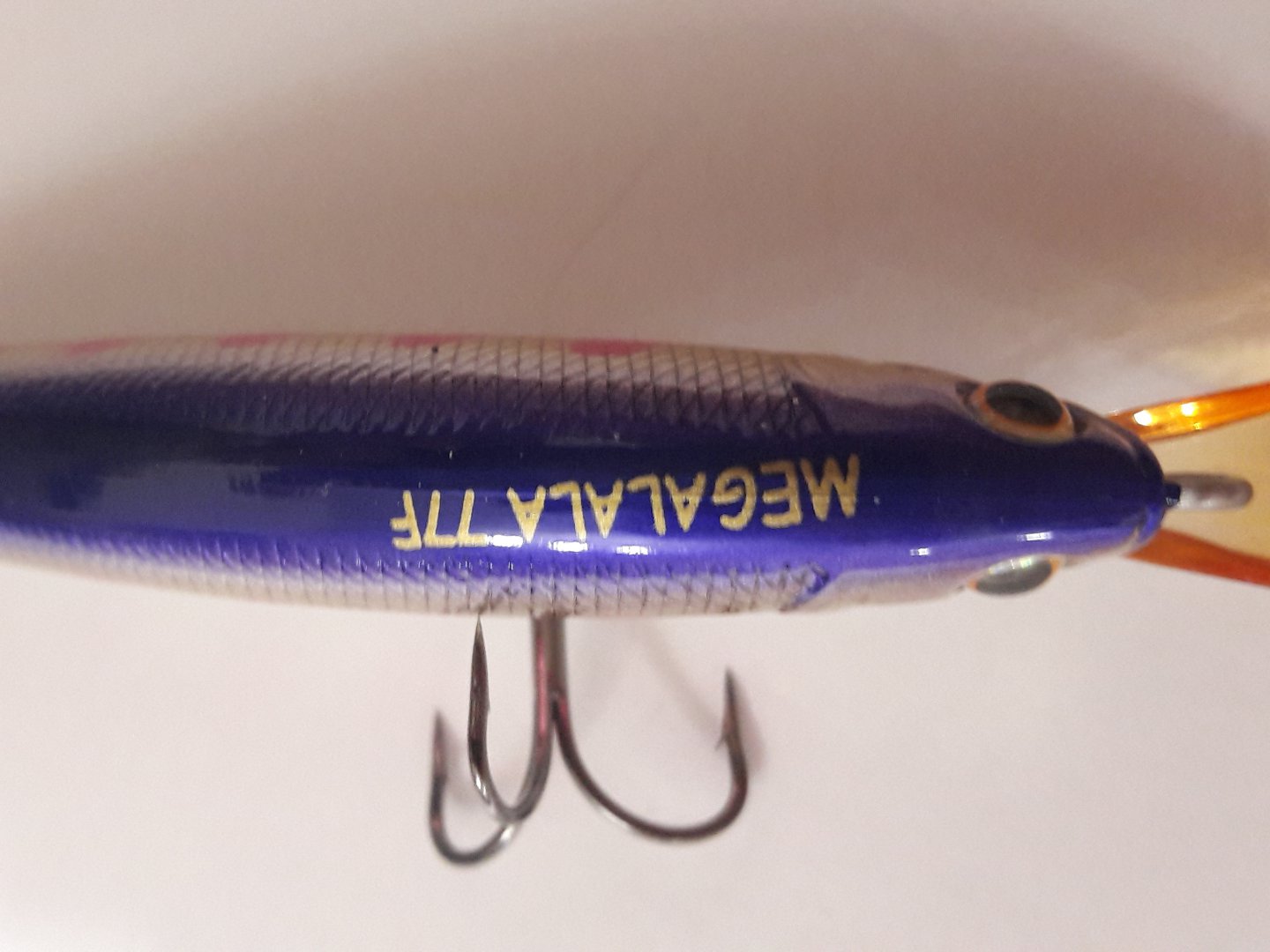 20190316_193009.jpg