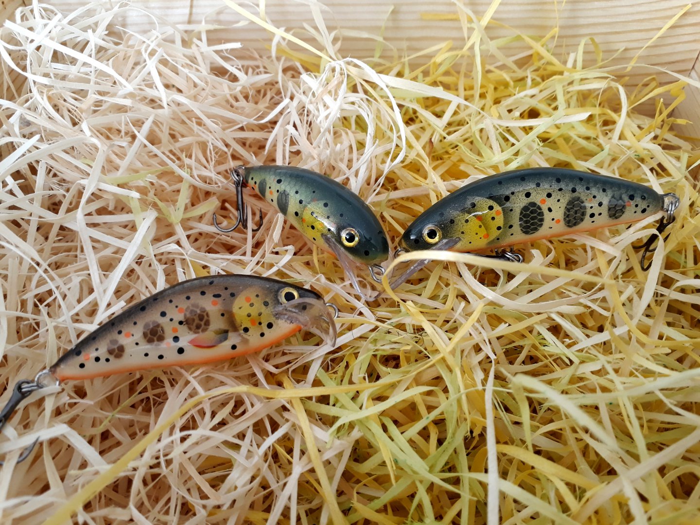 20190319_104814.jpg