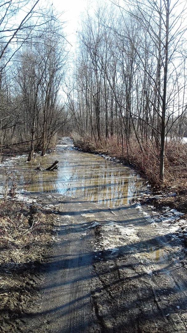 20190413_090219.jpg