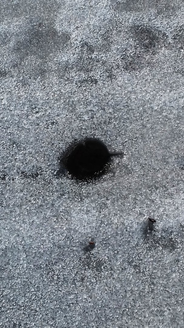 20190413_090401.jpg