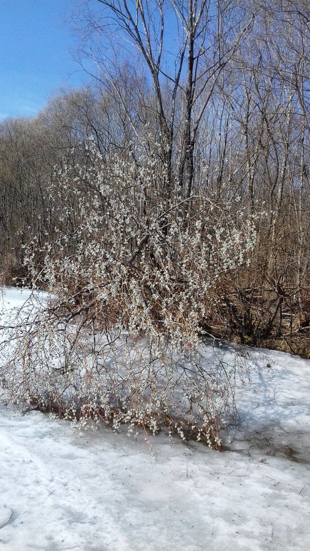 20190413_105627.jpg
