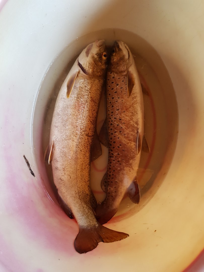 20190413_122852.jpg