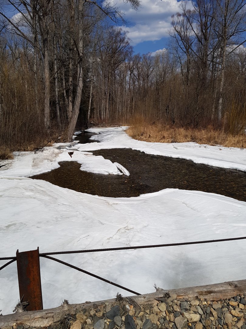 20190413_141609.jpg