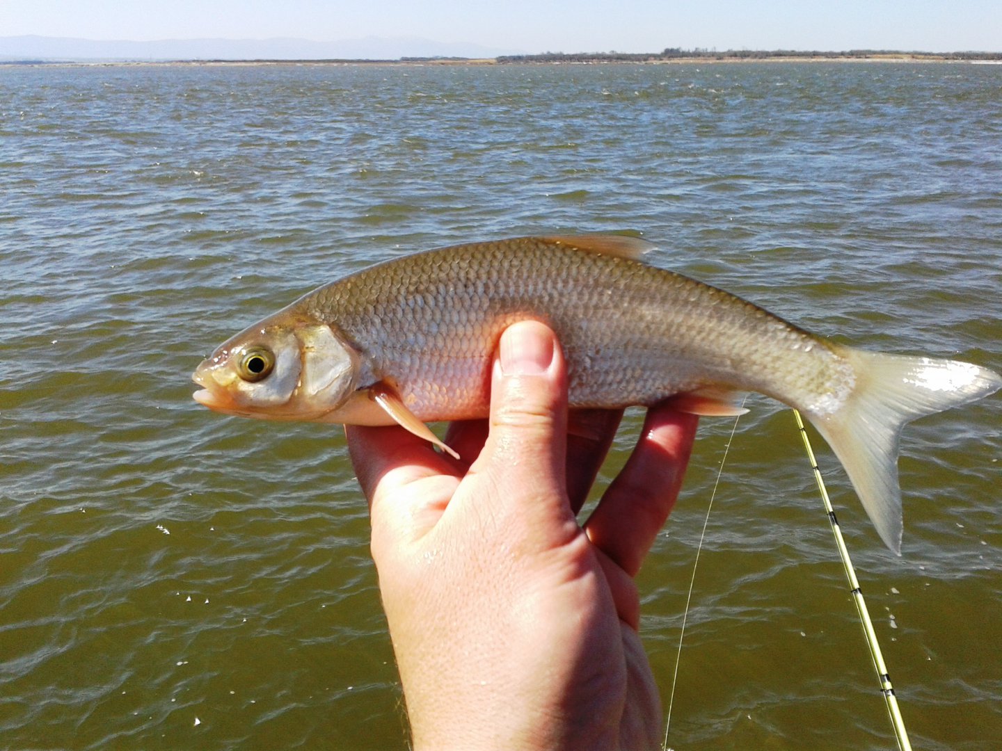20190422_110932.jpg