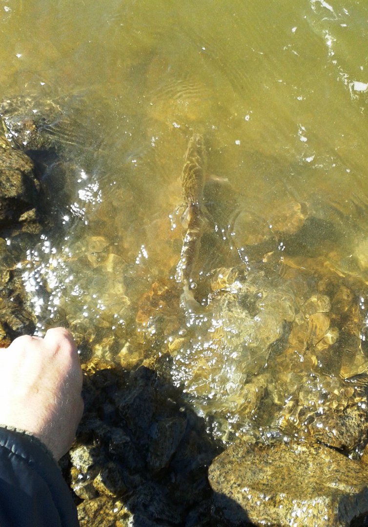 20190422_110951.jpg