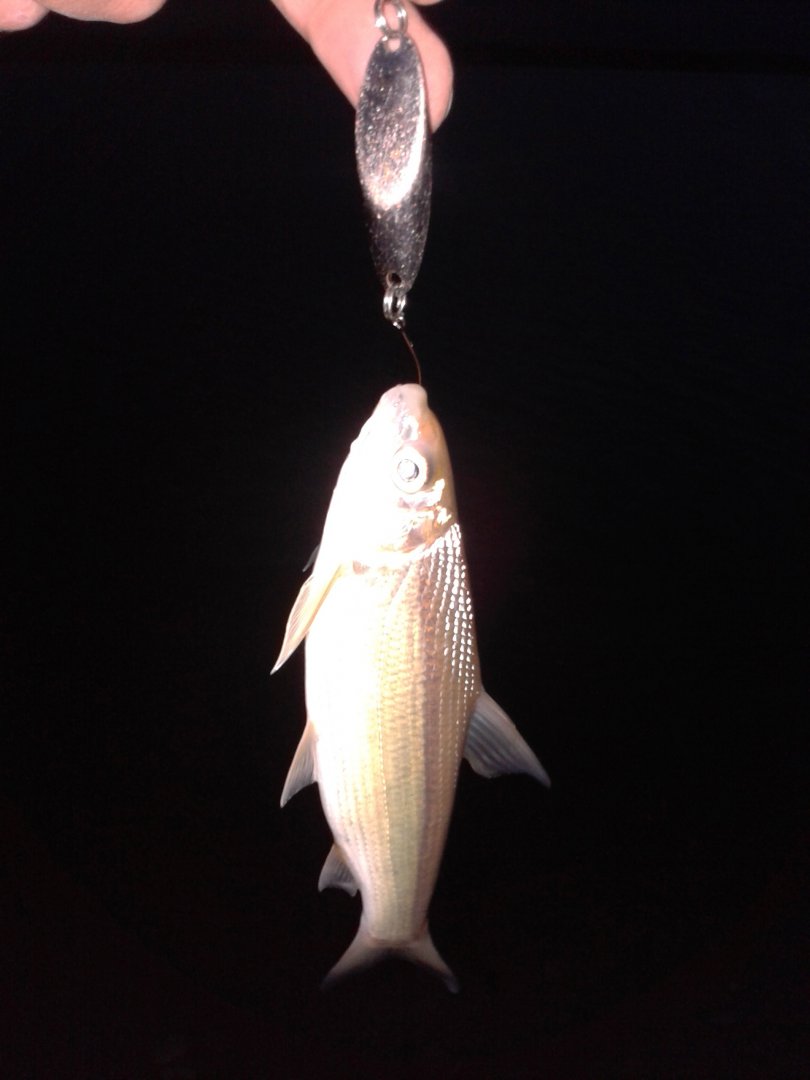 20190422_203736.jpg