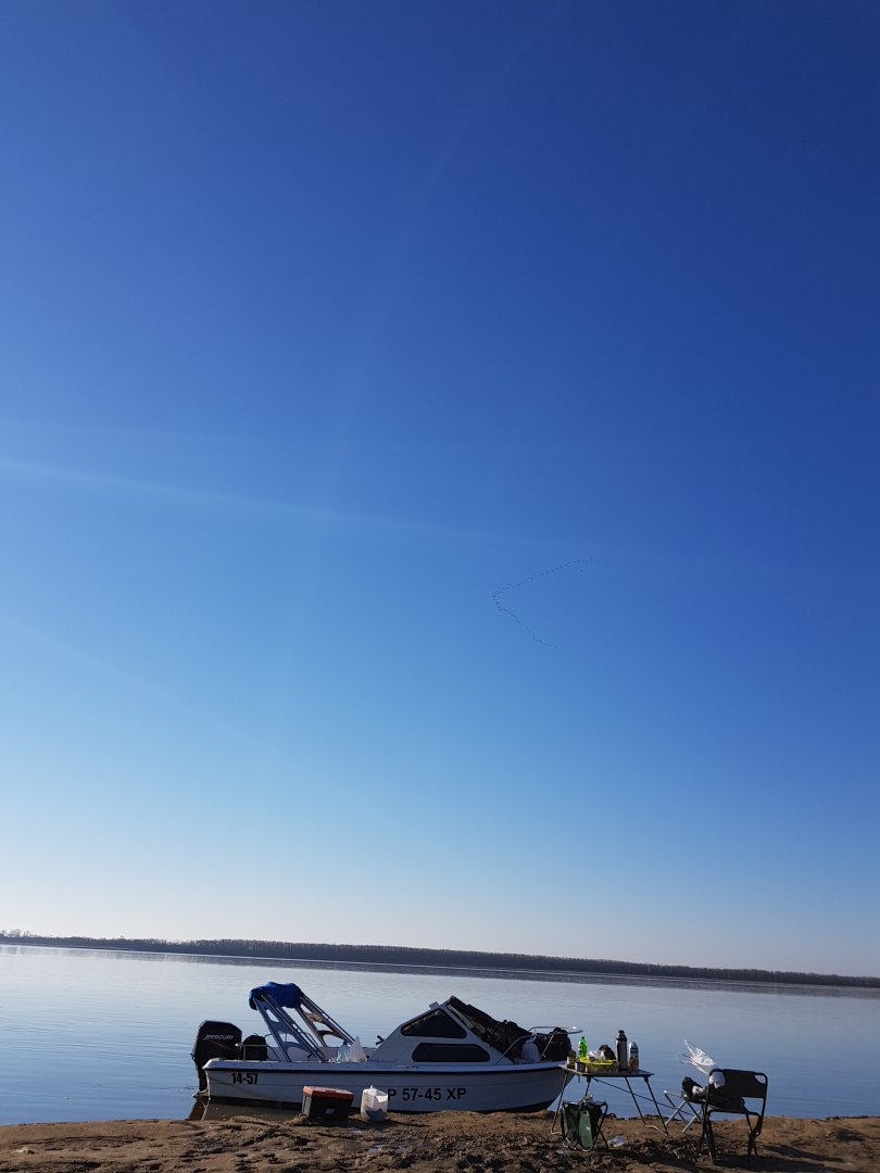 20190427_080008.jpg