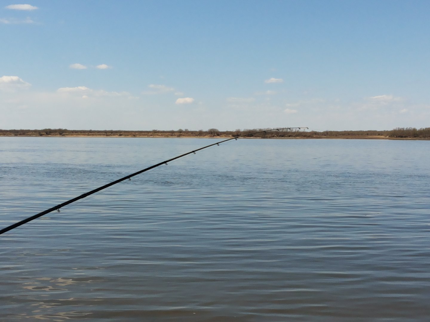 20190427_144701.jpg