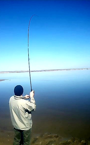 20190427_191301.jpg