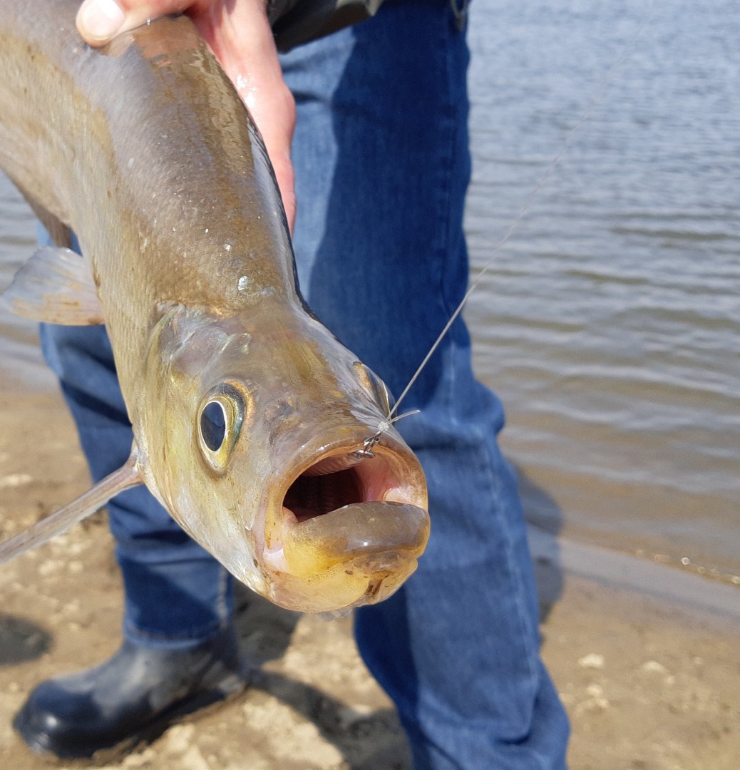 20190501_143404.jpg