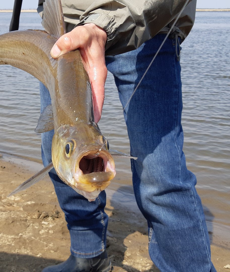 20190501_143524.jpg