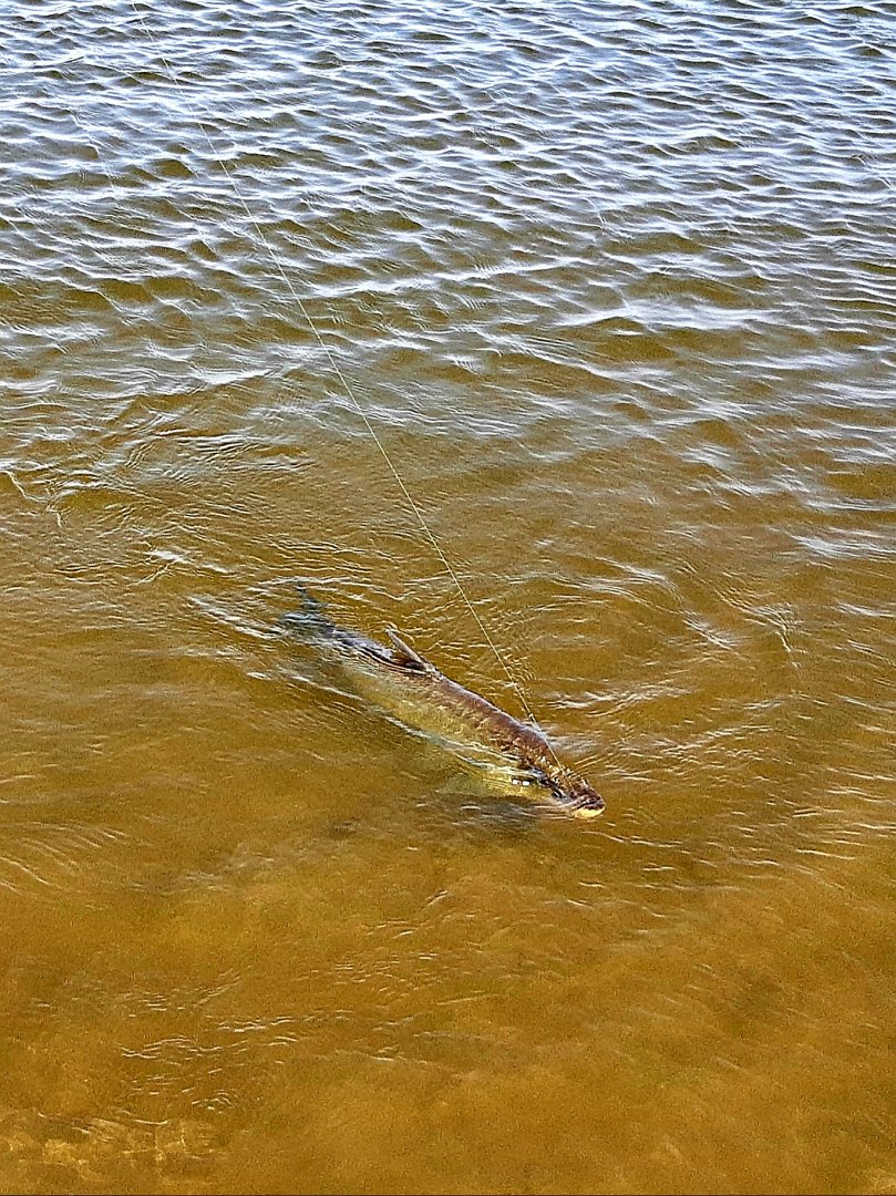 20190503_073340.jpg