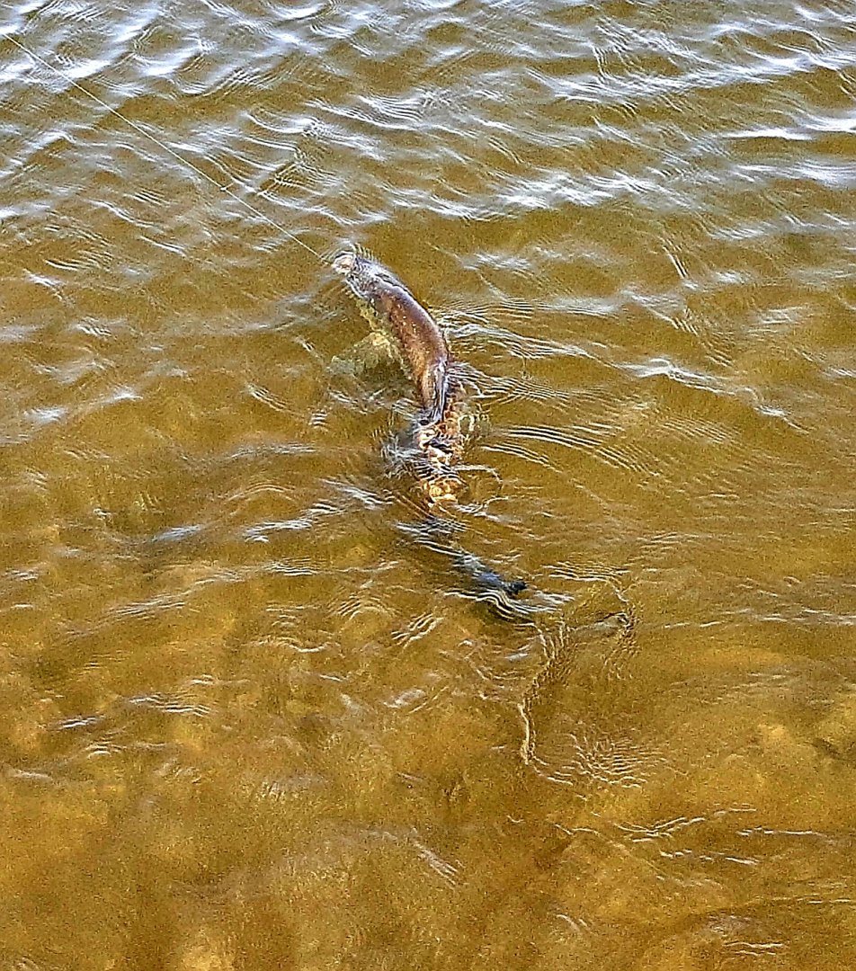 20190503_073842.jpg