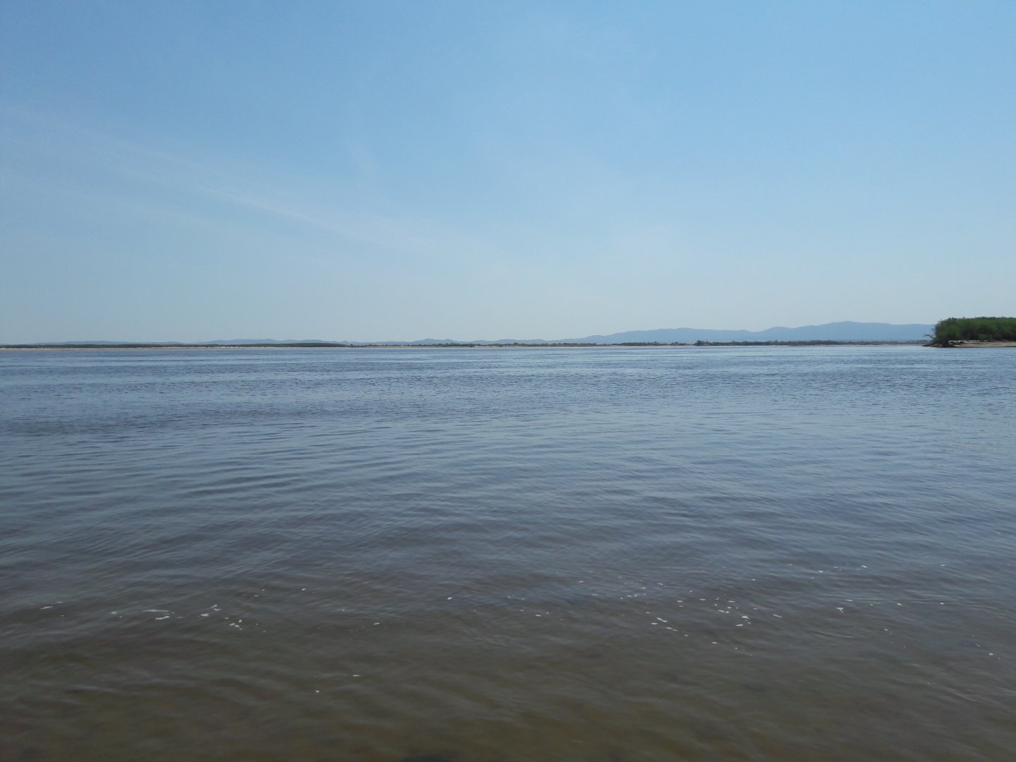 20190511_125626.jpg