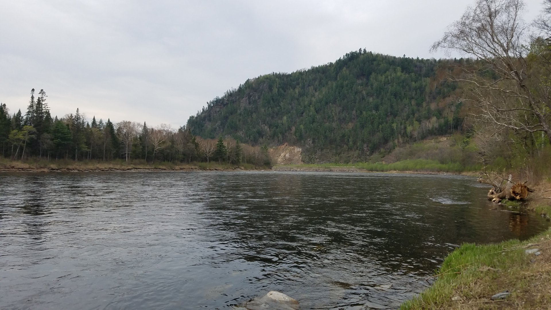 20190516_171845.jpg