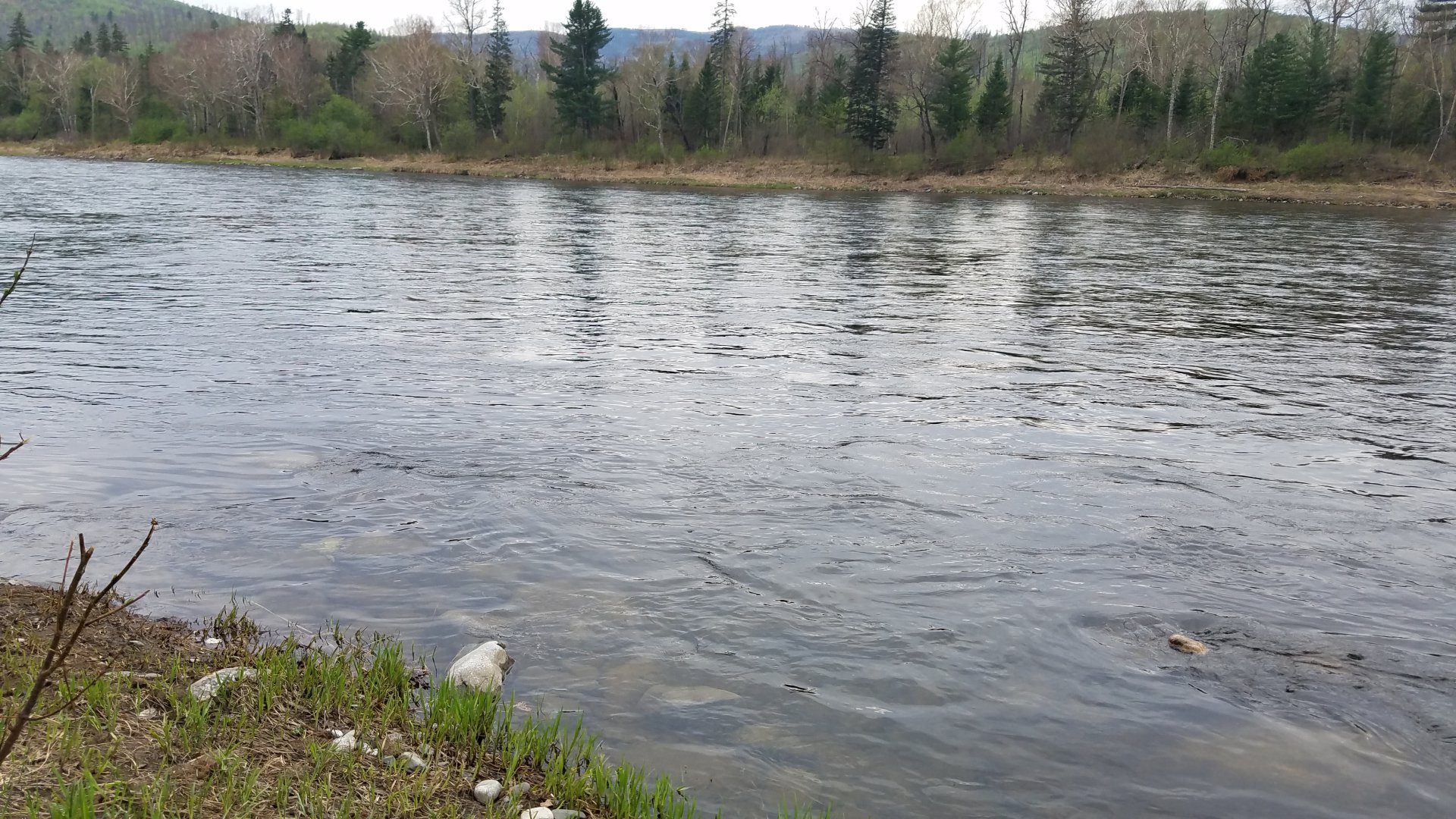 20190516_171912.jpg