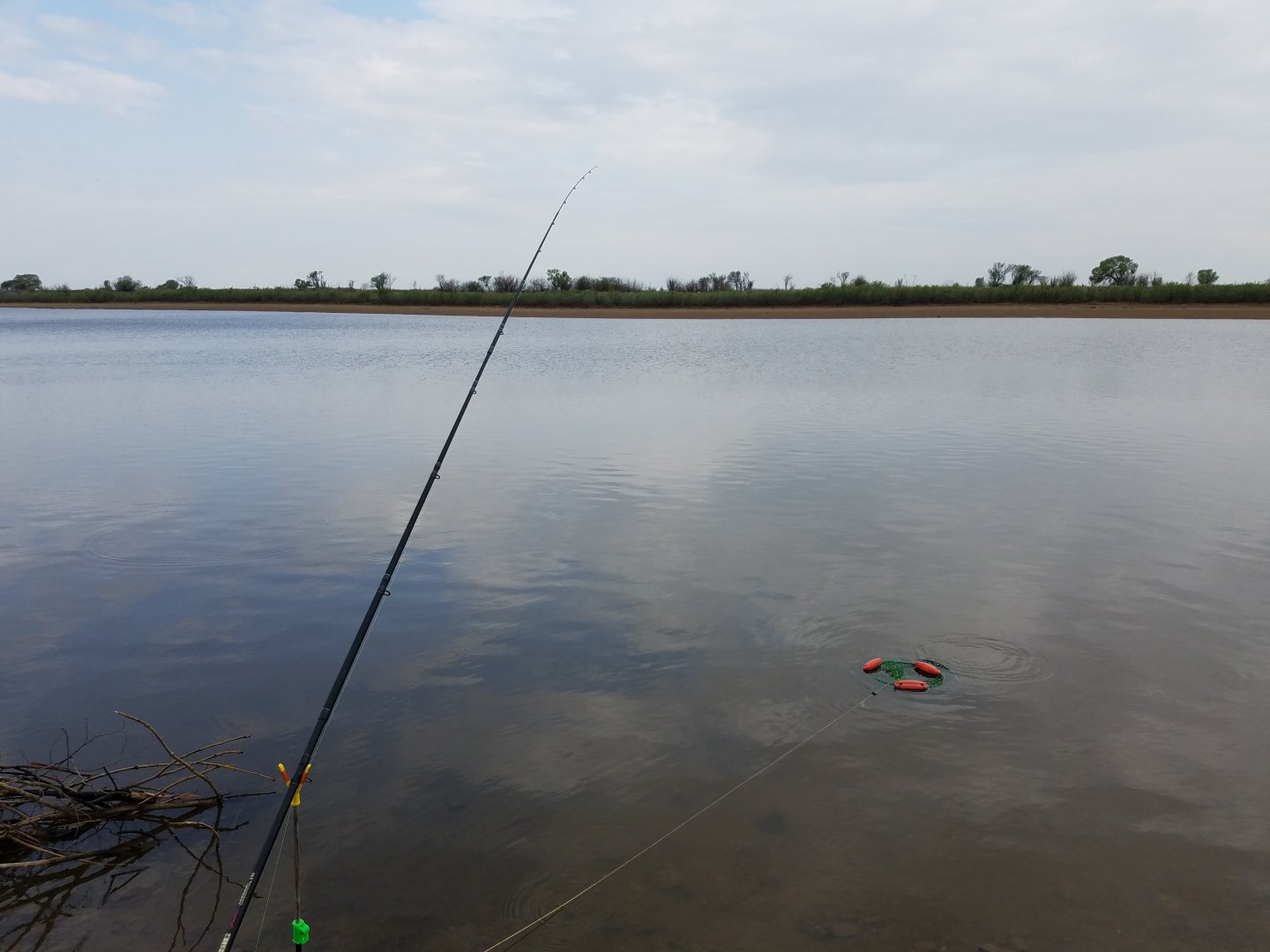 20190517_102141.jpg