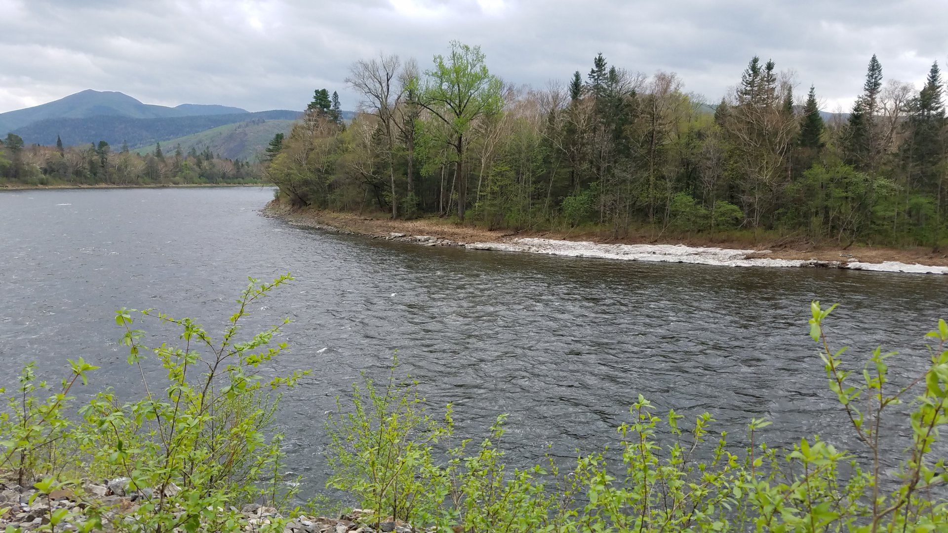 20190517_142635.jpg