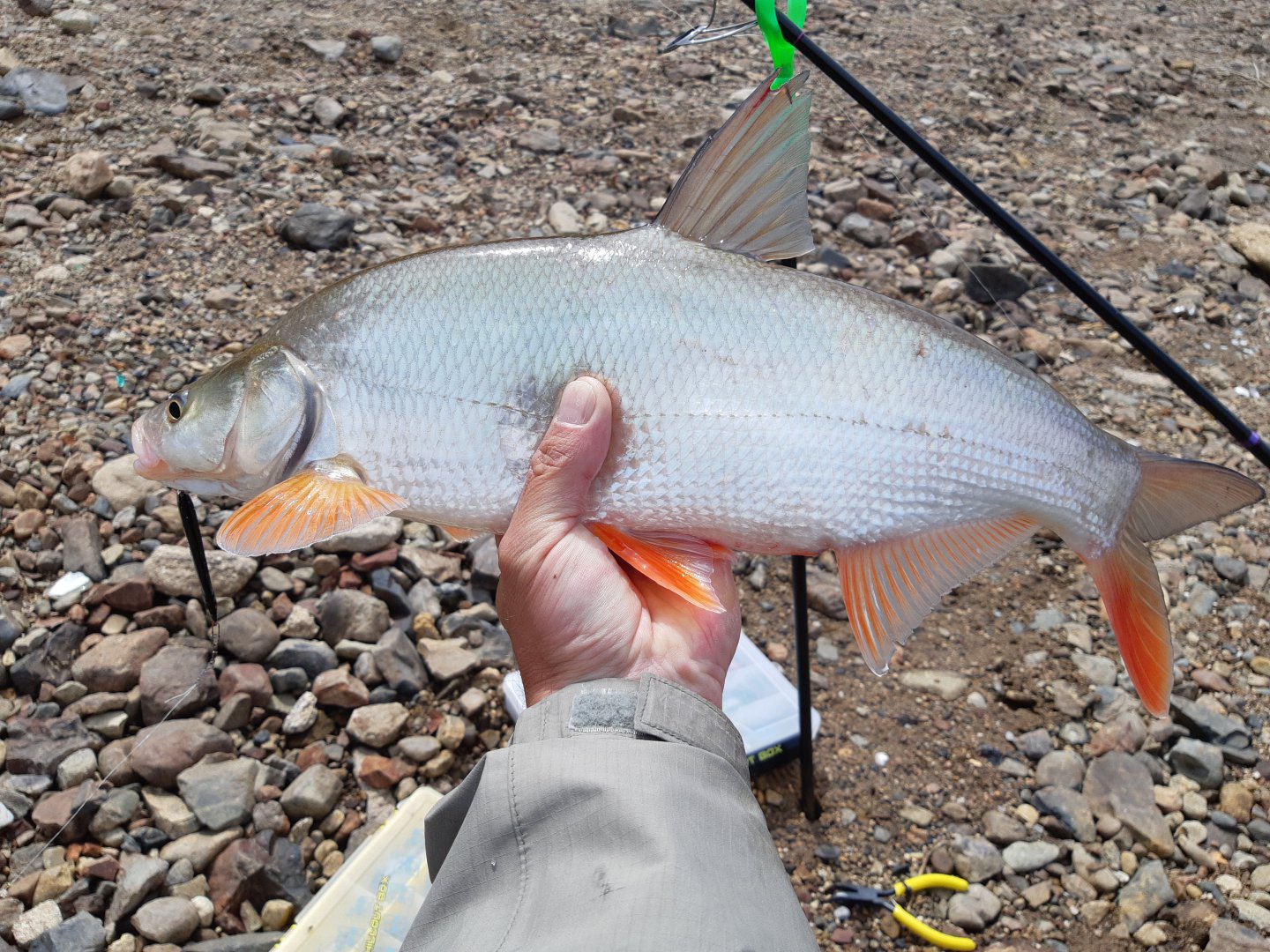 20190519_124419.jpg