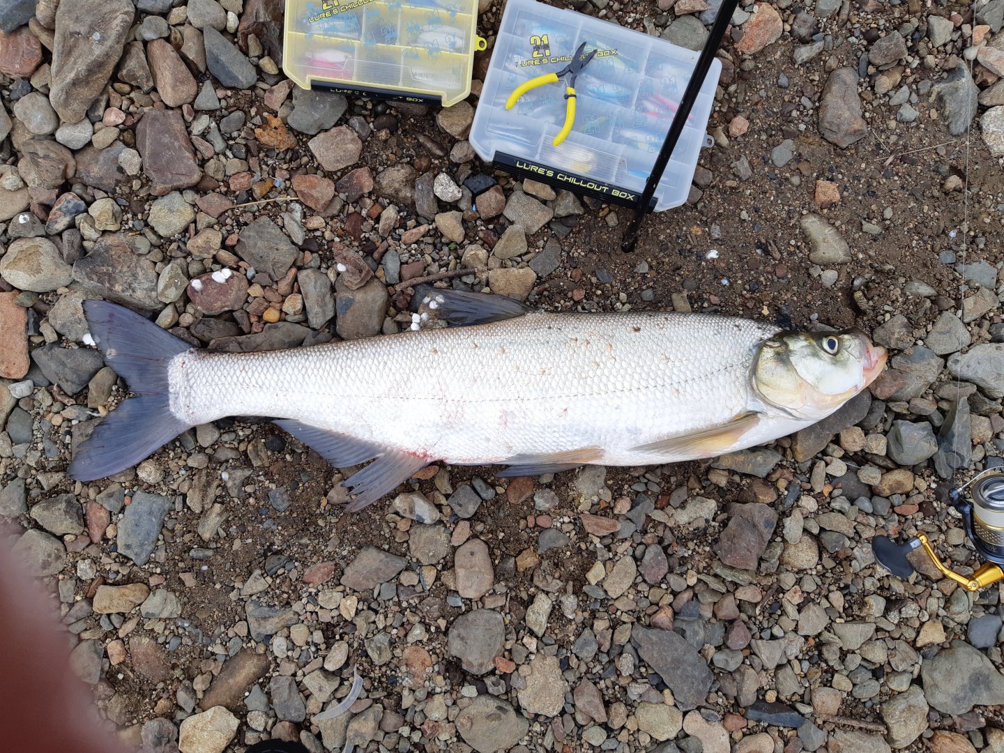 20190519_152214.jpg