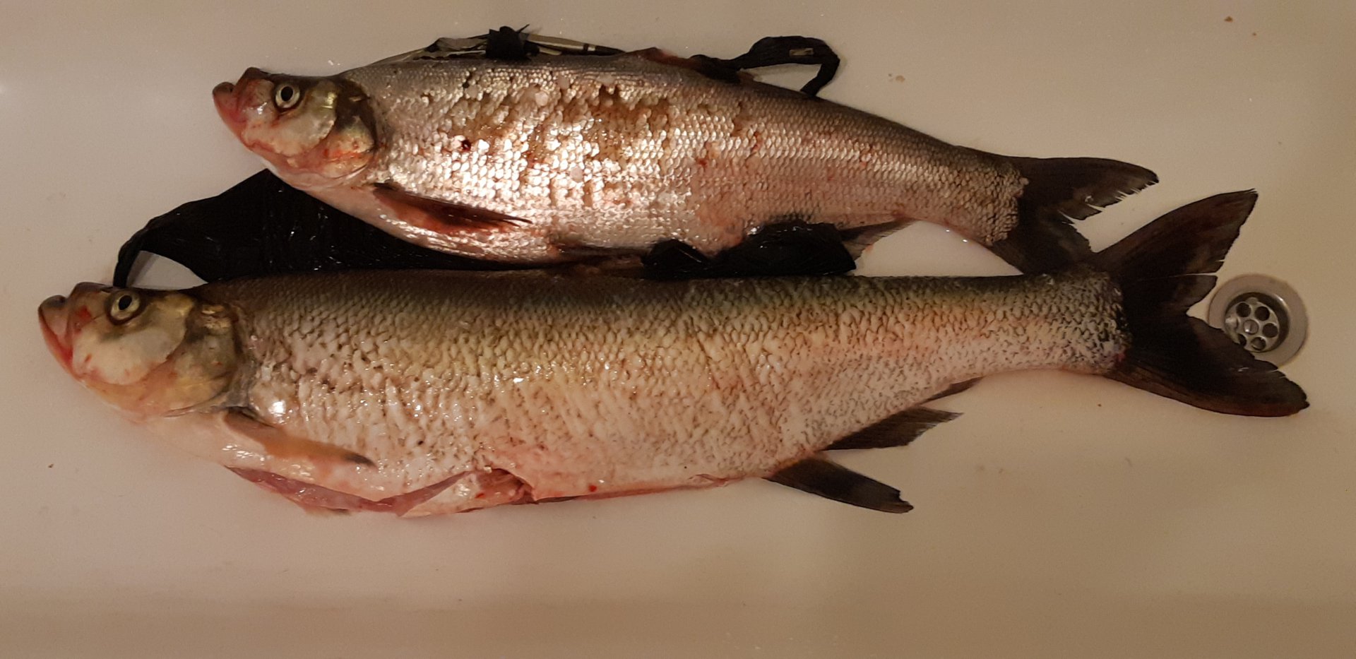 20190519_193405.jpg