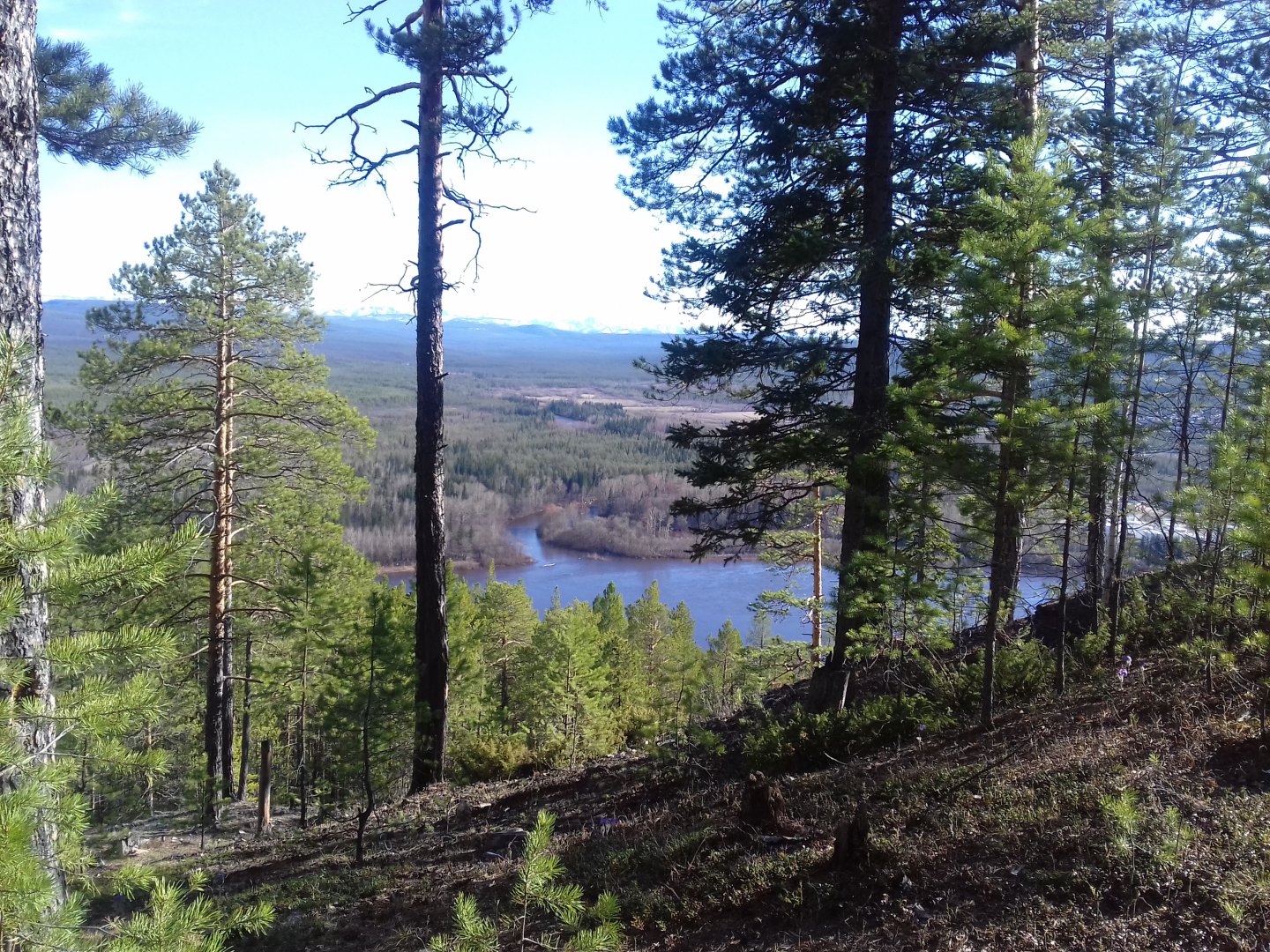 20190522_172938.jpg
