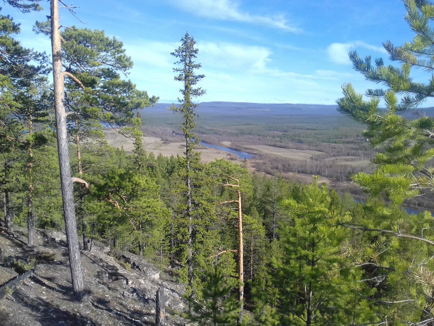 20190522_173116.jpg