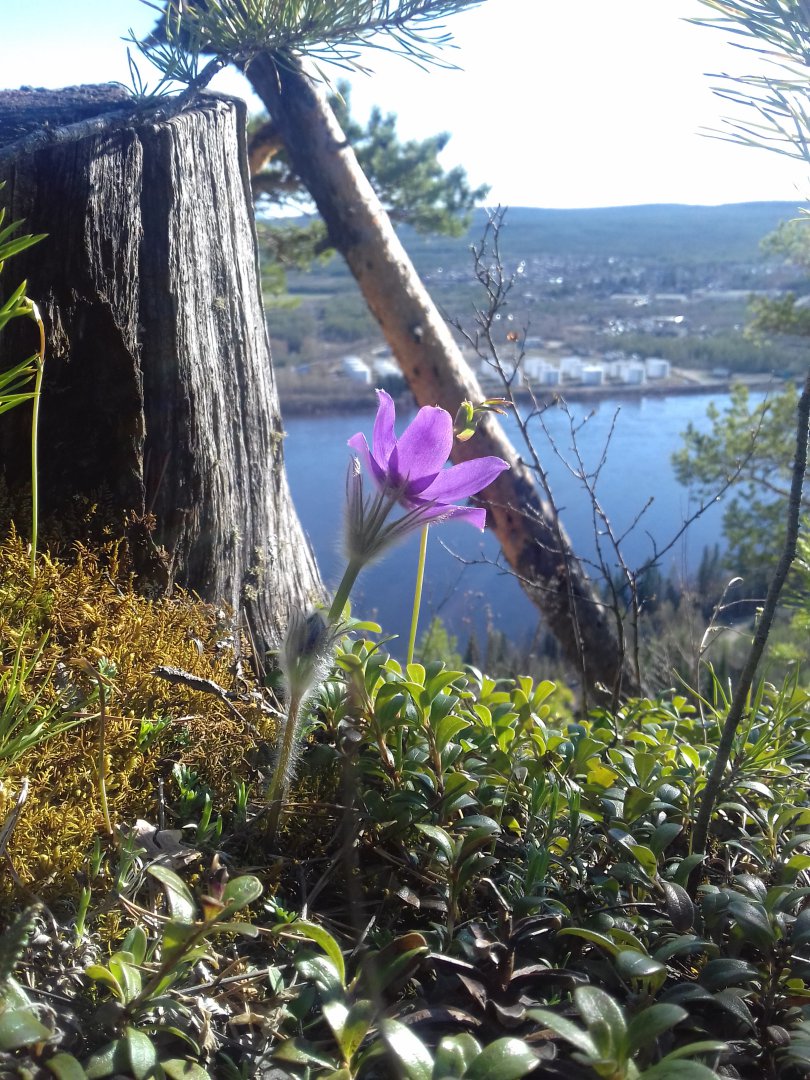 20190522_173924.jpg