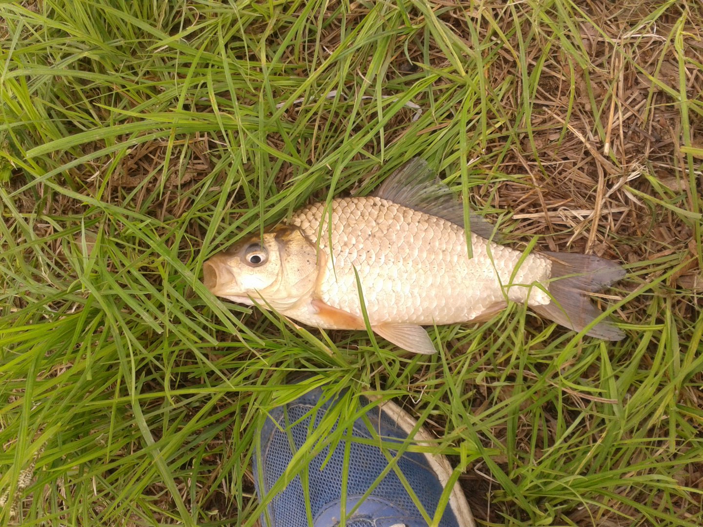 20190525_123313.jpg