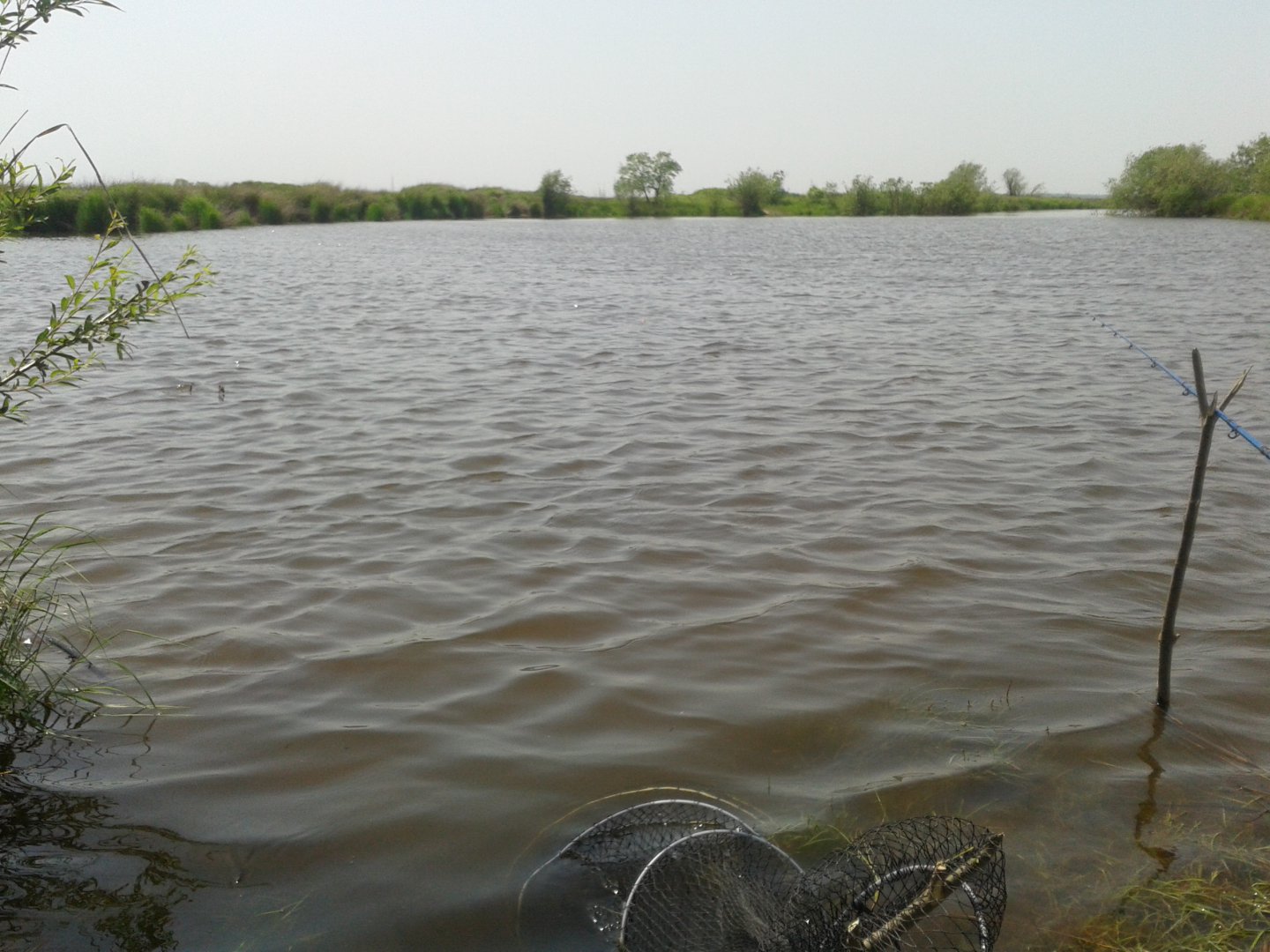 20190525_134333.jpg