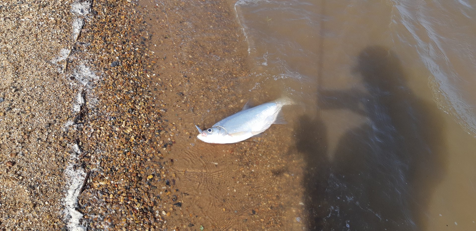 20190526_093939.jpg