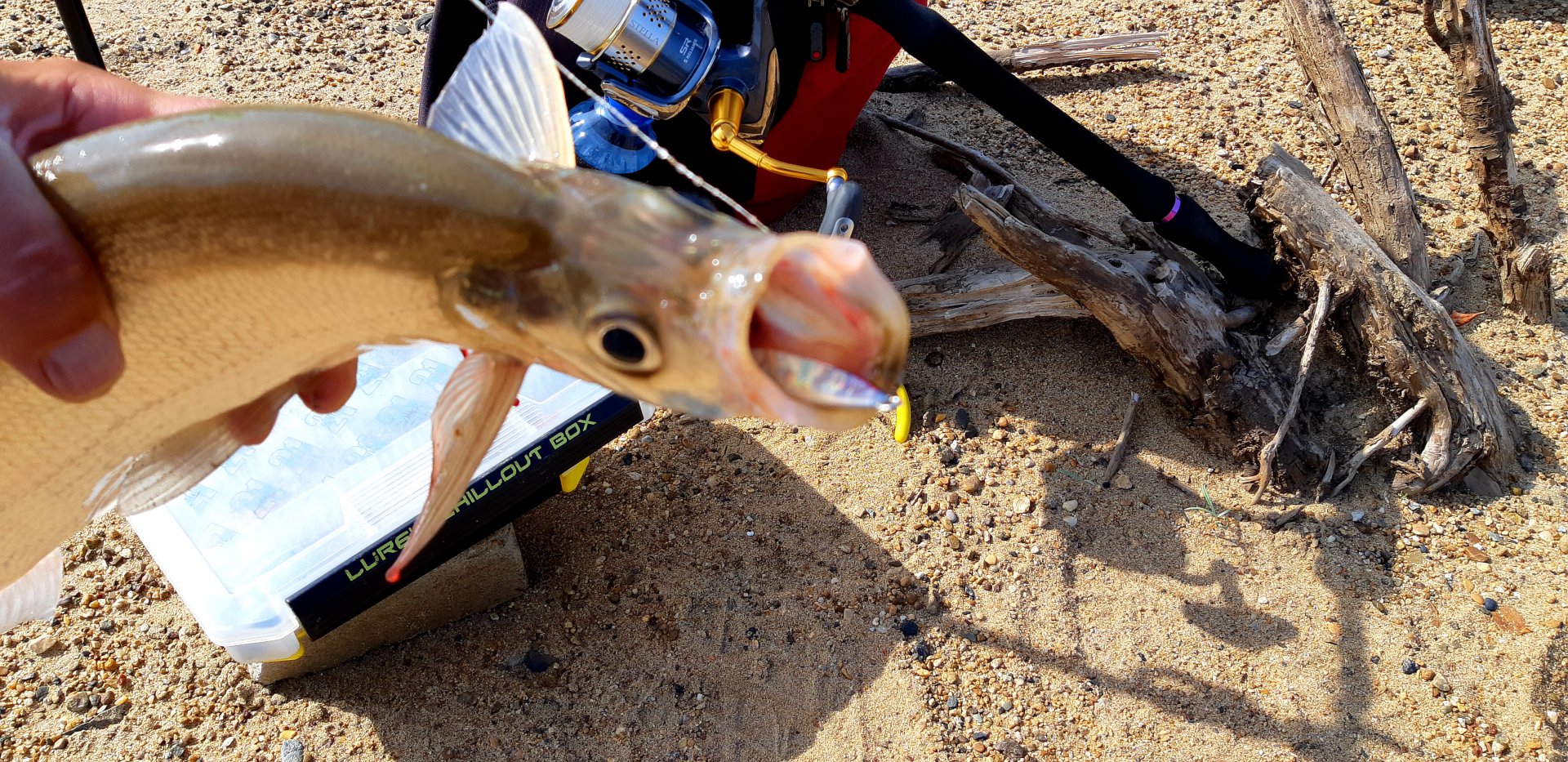 20190526_151403.jpg