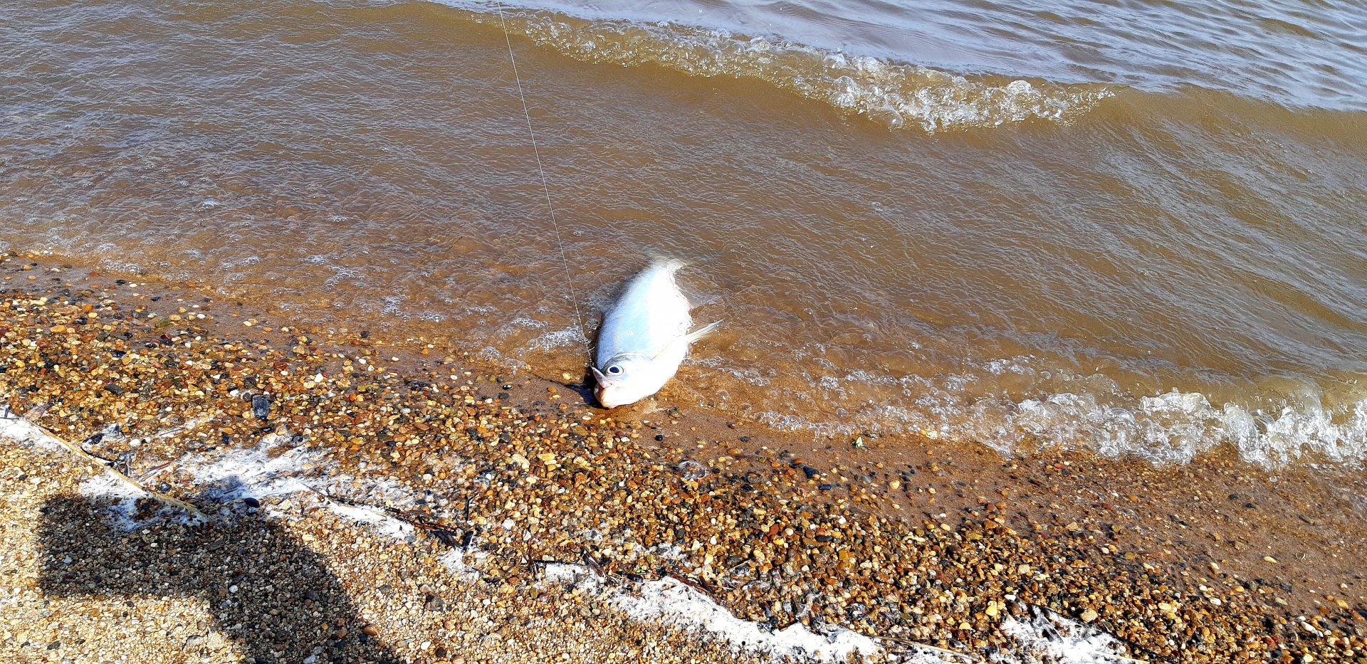 20190526_155253.jpg