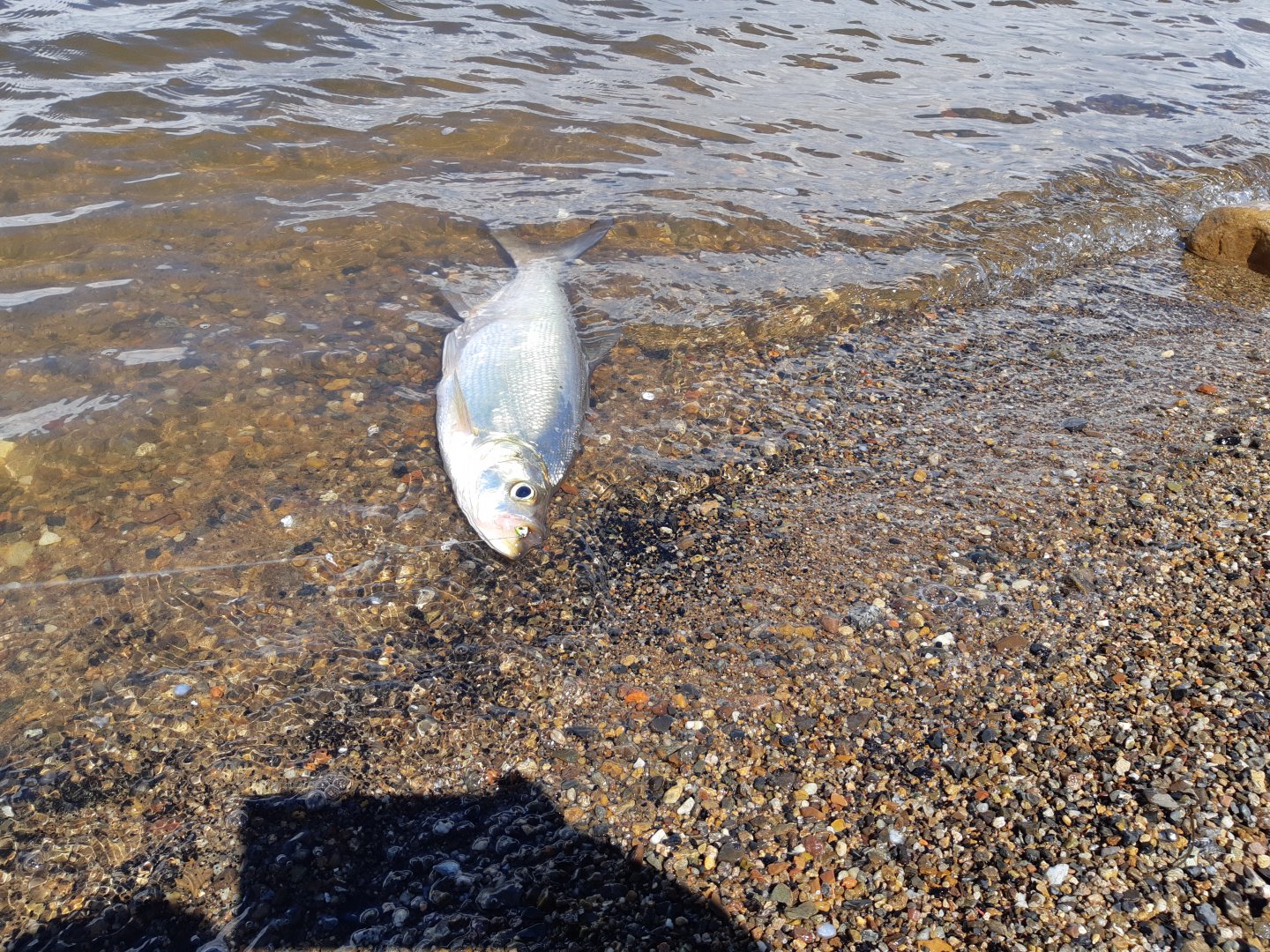 20190601_112903.jpg